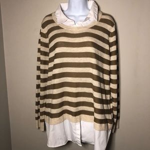 Brown Stripe Collared Sweater
